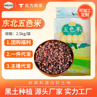 ������ɫ����5��|������s�Z�t�׺��ײ������׼R������