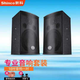 新科（Shinco）会议室音响设备套装家庭KTV功放一体音箱培训室舞