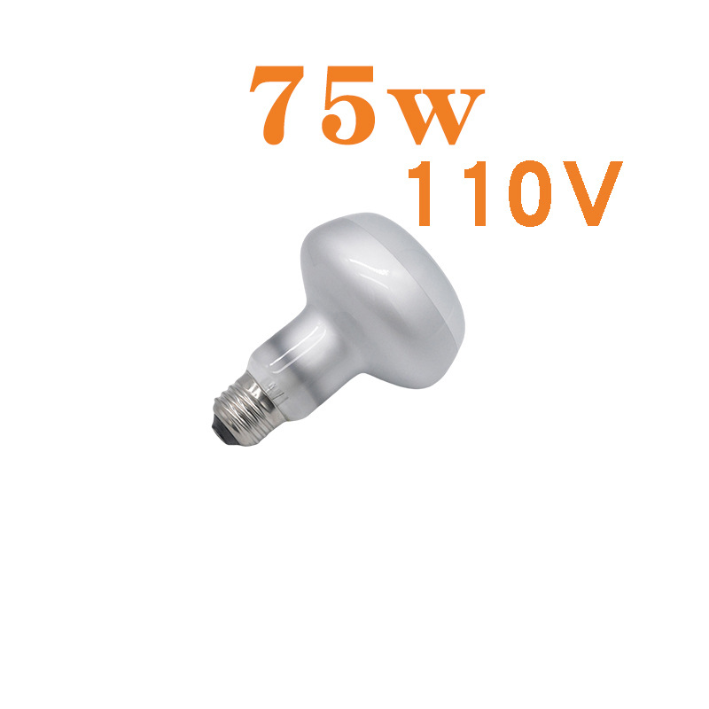 R80 사막 일광 램프 110V 75w