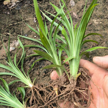 ������ɉ��mͥԺ�^�p���������������ݱ�ֲ����ꎾGֲ�҃�����