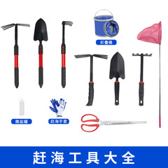 海を追う道具セット大全海辺でアサリを掘ってカニの神器をつかむ砂浜シャベル子供の装備で砂を掘る熊手