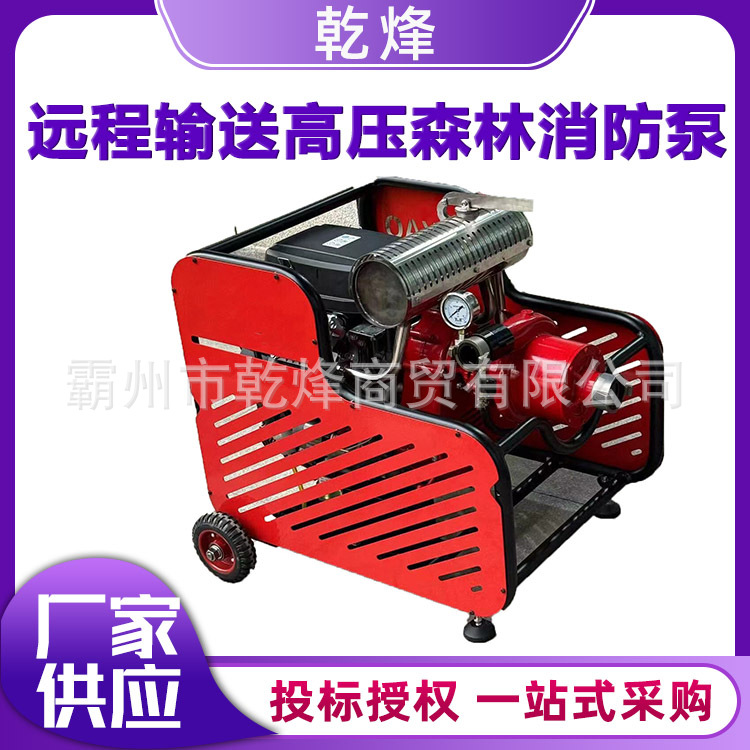 森林消防手抬式灭火泵高扬程六缸隔膜泵便携式远程输送泵
