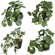 �羳���u����ֲ���ֲ��Gֲ�҃����b����������ȼ���С����