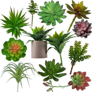 Ins Scandinavian Artificial Succulent Satchel Creative Small Vase Computer Desktop Mini Small Succulent Ceiling Ceramic Potted Plant