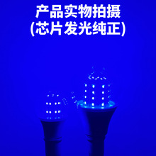 防水带罩蓝色光LED玉米灯泡气氛围装饰酒吧店公园绿化420450纳米