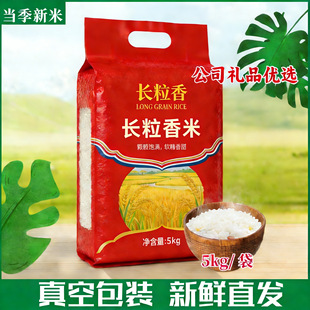 ���������r�Җ|��з����10����]�͏d���l�|������5kg