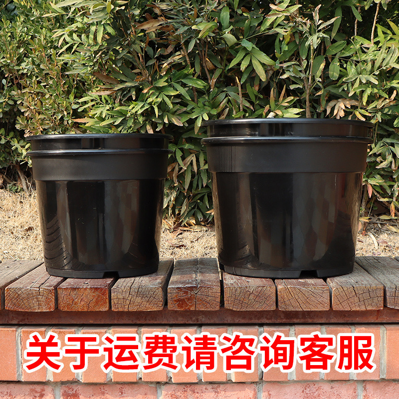 Potato Sweet Potato Ginger Peanut Planting Pot Thick Double Layer Family Balcony Planting Tub Plastic Planter Wholesale