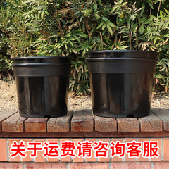 Potato Sweet Potato Ginger Peanut Planting Pot Thick Double Layer Family Balcony Planting Tub Plastic Planter Wholesale