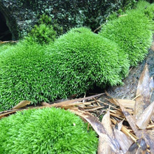 ΢���^̦�\��̦��ƤС�װl̦�\�L�ɴ���\1ƽ���׻�̦�\�������l