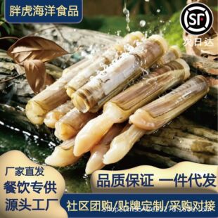 �r����֭�|����һ�����l���|���|���}�ӟoɳ�|�������l���