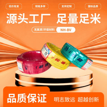 国标BV铜芯电线 NH-BV-10平方装修家装照明 单股硬线厂家批发