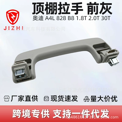 Audi – Armrest, handle, handle Roof Handle for