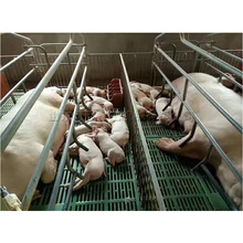 �ͺϰ�ĸ�i�a�� ��\�������i������λ�� �p�w�Ԅӿ؜خa�̴�