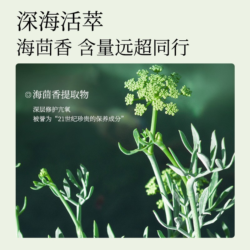 miklik酵母精粹水提亮肤色爽肤水保湿滋润平衡水油学生大白水可代|undefined