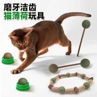 Catnip Ball Lickable Cat Toy for Teeth Grinding and Cleaning, Rotatable Catnip Ball Pet Supplies, Insect Galls Fruit