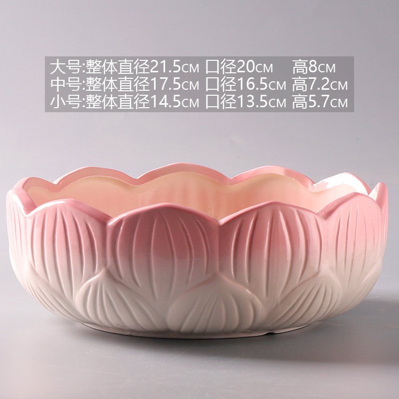 Special Offer for Narcissus Pots, Non-Porous Hydroponic Ceramic Pots for Pennywort and Water Lilies, and Special Containers for Growing Green Plants