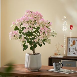 �ļt�t�ذ�����÷���Ԏ������ͺ��ļ��_���̨ͥԺԴ�^�S��