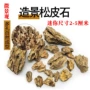 迷你景观石头盆景松皮石