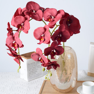 Single Dried Flower Artificial Silk Cloth Feel 9 Phalaenopsis Artificial Flower Orchid Wedding Home Hotel Decoration Fake Flower