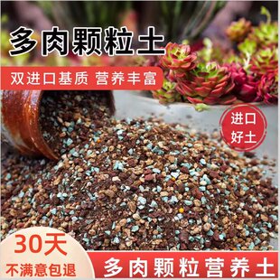 ���⌣���w�����I�B���Nֲ���������Ի���������ֲ̿�ﻨ��������