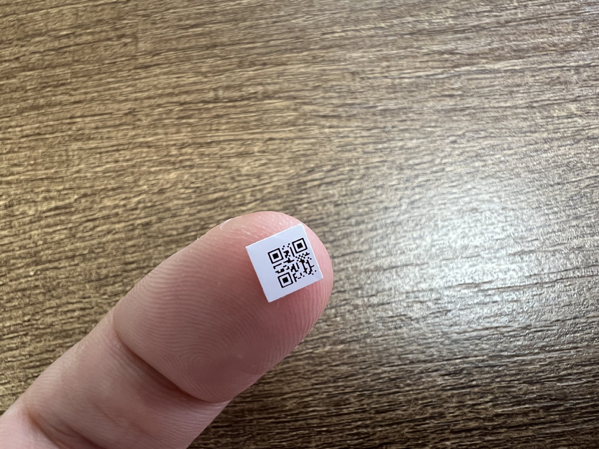 非标印制苏州EPSON EB-G5100投影机部品用2D聚酯铭板标签销售公司