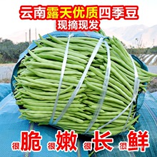 ����ļ������r�Fժ�L���ǟo��ǖ|���S�𹴶��Ǯ����r���߲�