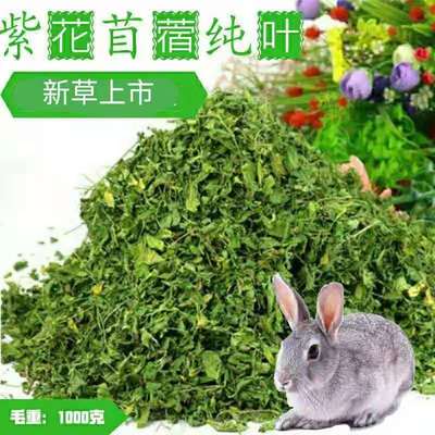 兔子草紫花苜蓿草葉子幼兔專用純葉子幹草龍貓荷蘭豬陸龜糧食廠家