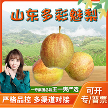 �����x��ɽ�|���� 3��Ƥ����֭���������rˮ����������ӷǻʹ���