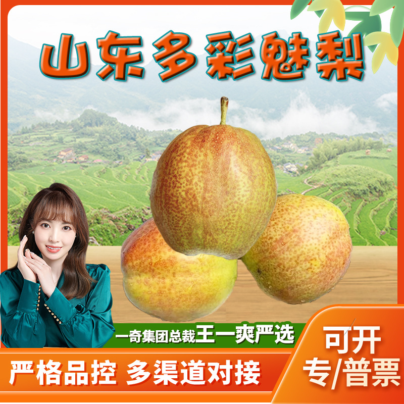 【严选】山东魅梨 3斤皮薄多汁甜梨子新鲜水果多彩媚梨子非皇冠梨