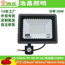 Led感应投光灯人体感应投光灯 红外感应灯楼道感应灯感应投光灯