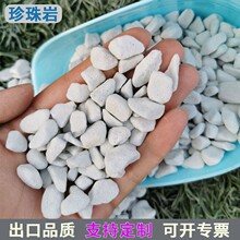 ���w�������҈@ˇ�B��ͨ�ý��B�����߷����T��������������ҏS��