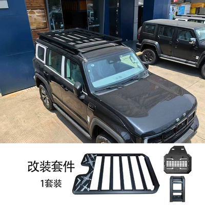 luggage frame platform ladder — Roof rack