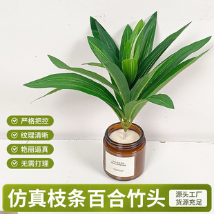 ����Gֲ�ٺ���֦�l׃ɫľ�~�Ҿ�����������b��콶�~�������l