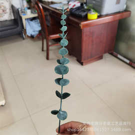 仿真植物仿真花插花花材批发　霜白单支尤加利叶金钱叶枝条　田园