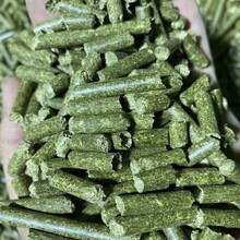 ��ޣ���w�����ӳ��üZ��؈�Z����Z�����x���üZ���üZ������ʳ