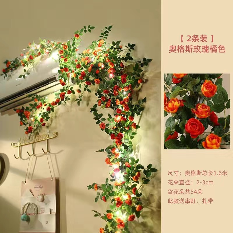 두 가지 가격의 오렌지 오거스