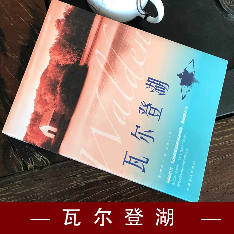 Уолден оригинальная книга полностью переведенная классика романов и внеклассные книги для средней школы