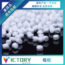 ע̼}ĸ̼} PE ;/ͺ Sֱ