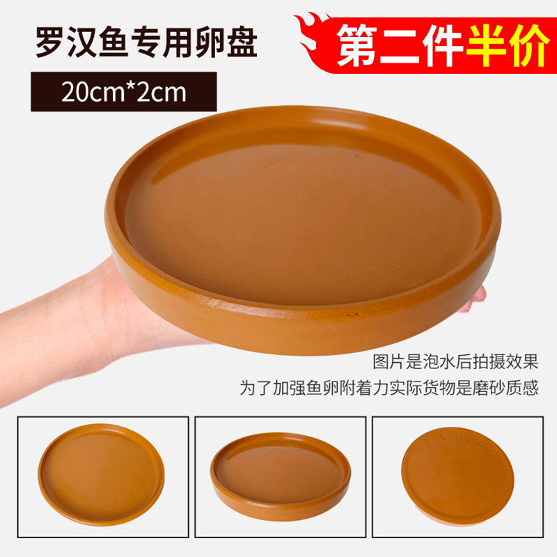 20*20cm 사육 트레이