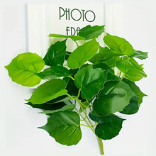 ܎֮ȏSֱN5Gֲ^zع~̼ҾӾGɫb