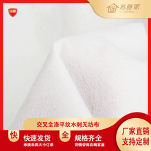 交叉全涤平纹水刺无纺布 湿巾 水刺无纺布 无纺布卷材 厂家直销