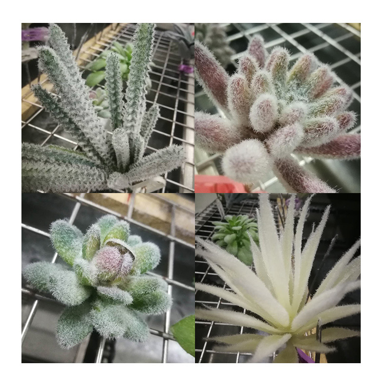 静电发生设备