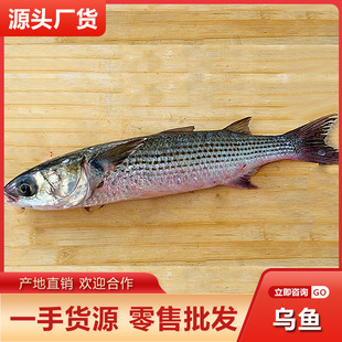 �������ڞ��~���l �r��������~���r���~�����~���^�~���rˮ�a