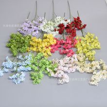 �¿���滨3��������@С�黨��Y���ŵ�픹��T�廨�쾰�ٻ����