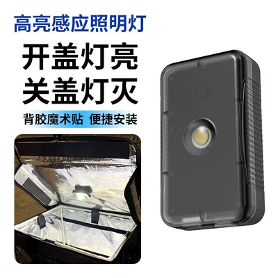 Light, Food Delivery Insulated Box, Takeaway: Motorcycle trunk