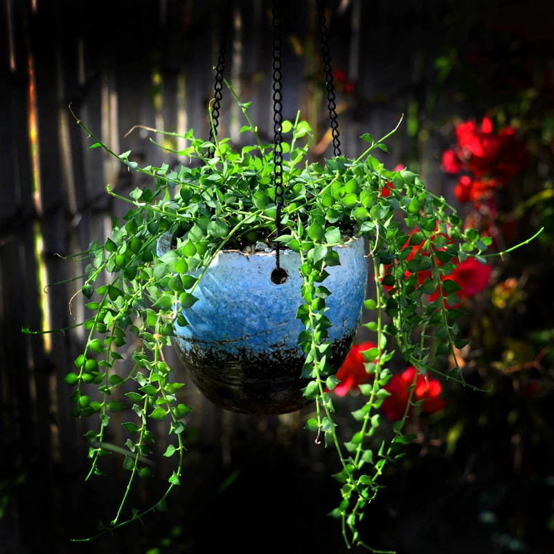 Bofan Diaolan Цветочный горшок Керамическая большая подвесная корзина Висячие настенные бусины Будды Зеленый любовник Слезы Мясистый цветочный горшок