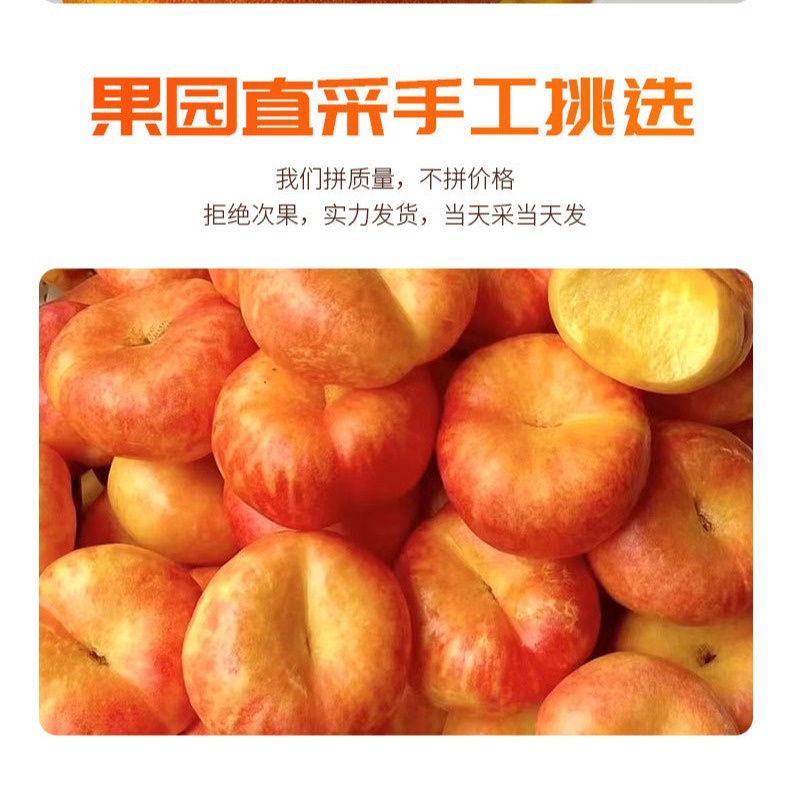 蒙阴产地直发黄金彩虹油蟠桃新鲜黄心油桃脆甜时令当季水果桃批发