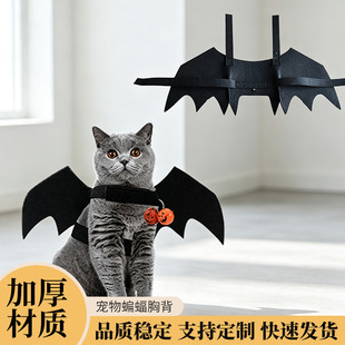 �¿�羳�f�}��ë�֌���������؈������Ɍ�������b�����