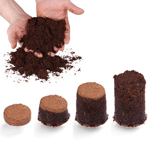 �A��Ҭ�u ��ͥ�Nֲ������������Ҭ���w�S���sҬ���w�S�NֲҬ����