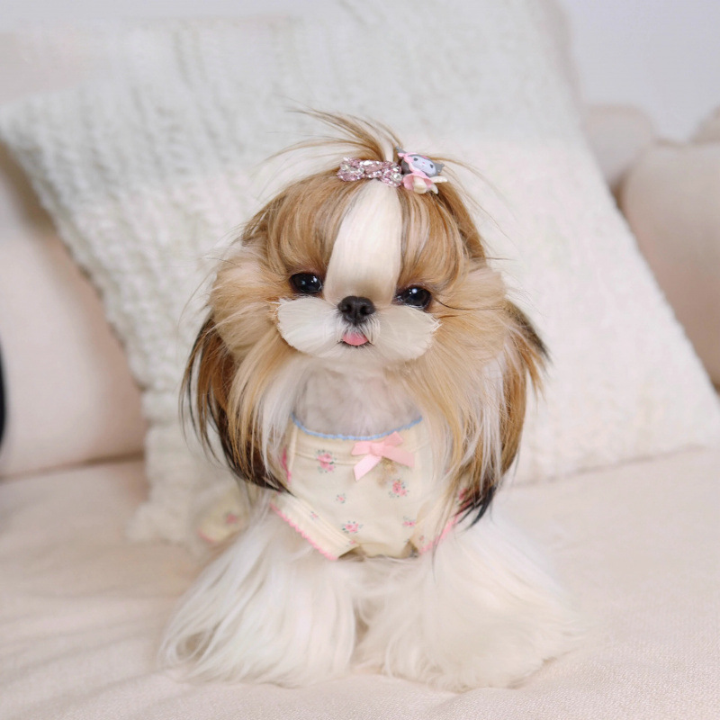 Perros para mascotas, gatos, primavera y verano, falda de chaleco de estilo occidental dulce, anti-caída de pelo, lindo peluche, bichón, ropa para perros pequeños